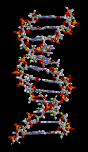bio_plastics